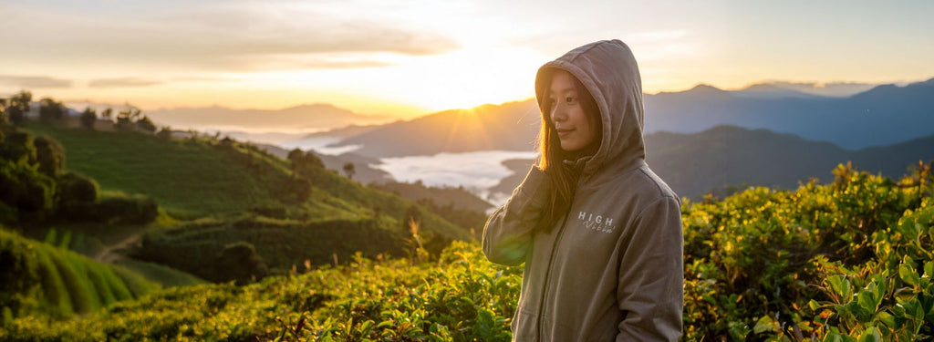 High Vibin’ Collection hoodie worn at sunrise with energetic glow